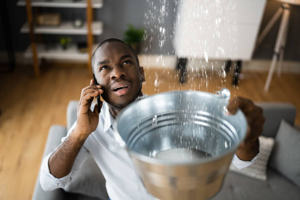  Fairwood, WA Water damage restoration Pros