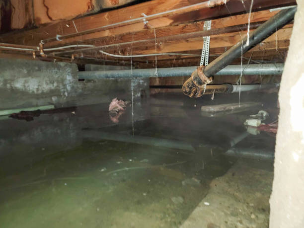 Best Ceiling water damage repair  in Fairwood, WA
