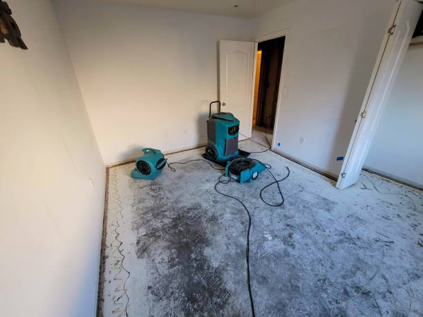 Best Sewage cleanup and water damage restoration  in Fairwood, WA