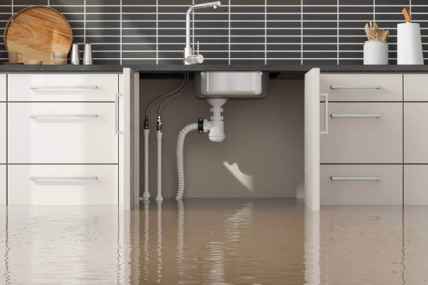 Best Water damage restoration specialists  in Fairwood, WA
