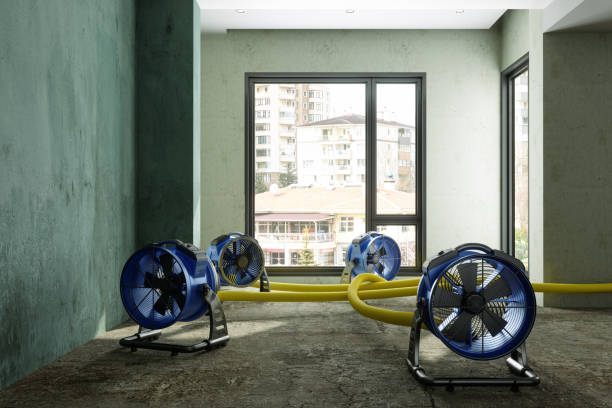 Best Water damage restoration experts  in Fairwood, WA